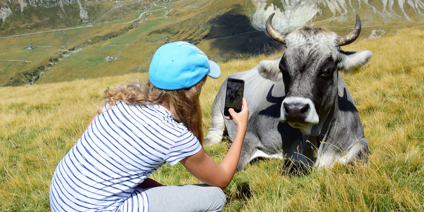 Ein Mädchen fotografiert mit dem Handy eine Kuh in den Bergen.