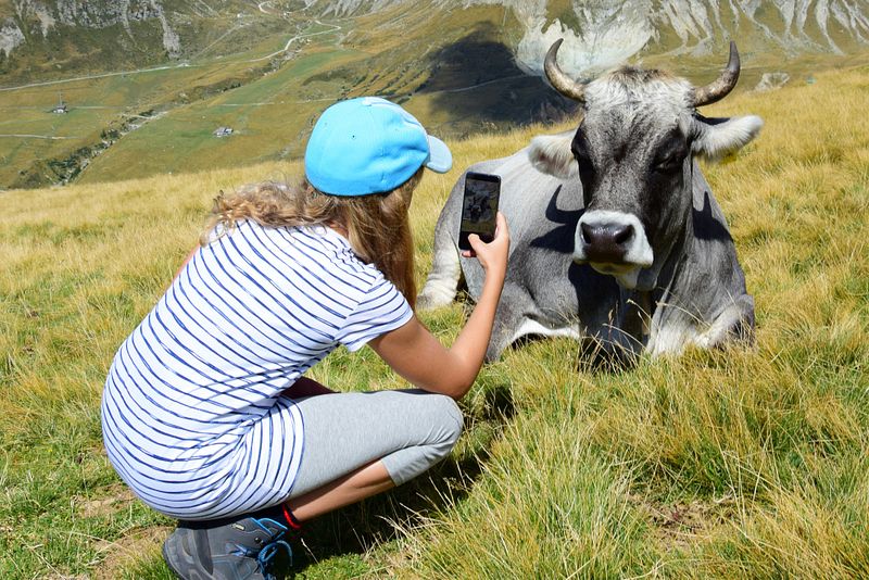 Ein Mädchen fotografiert mit dem Handy eine Kuh in den Bergen.