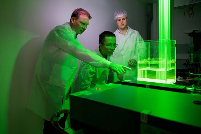 Werner Siemens Stiftung: Tracer-Partikel brechen Laserlicht in einem Wassertank. Foto: Felix Wey
